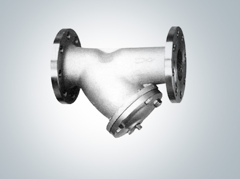 Y Strainer